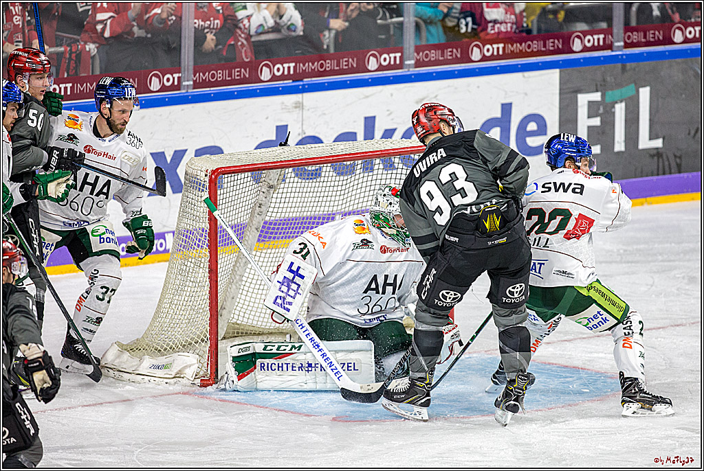 DEL Koelner Haie - Augsburg Panther, 14.09.2018